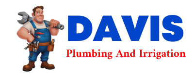 Trusted plumber in LA BELLE